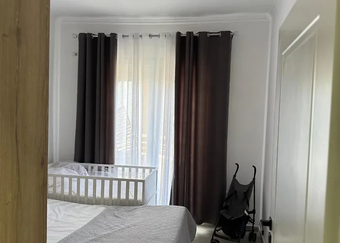Aleksa Rental2